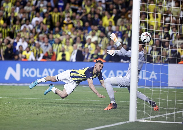 在比赛中展 在比赛中展